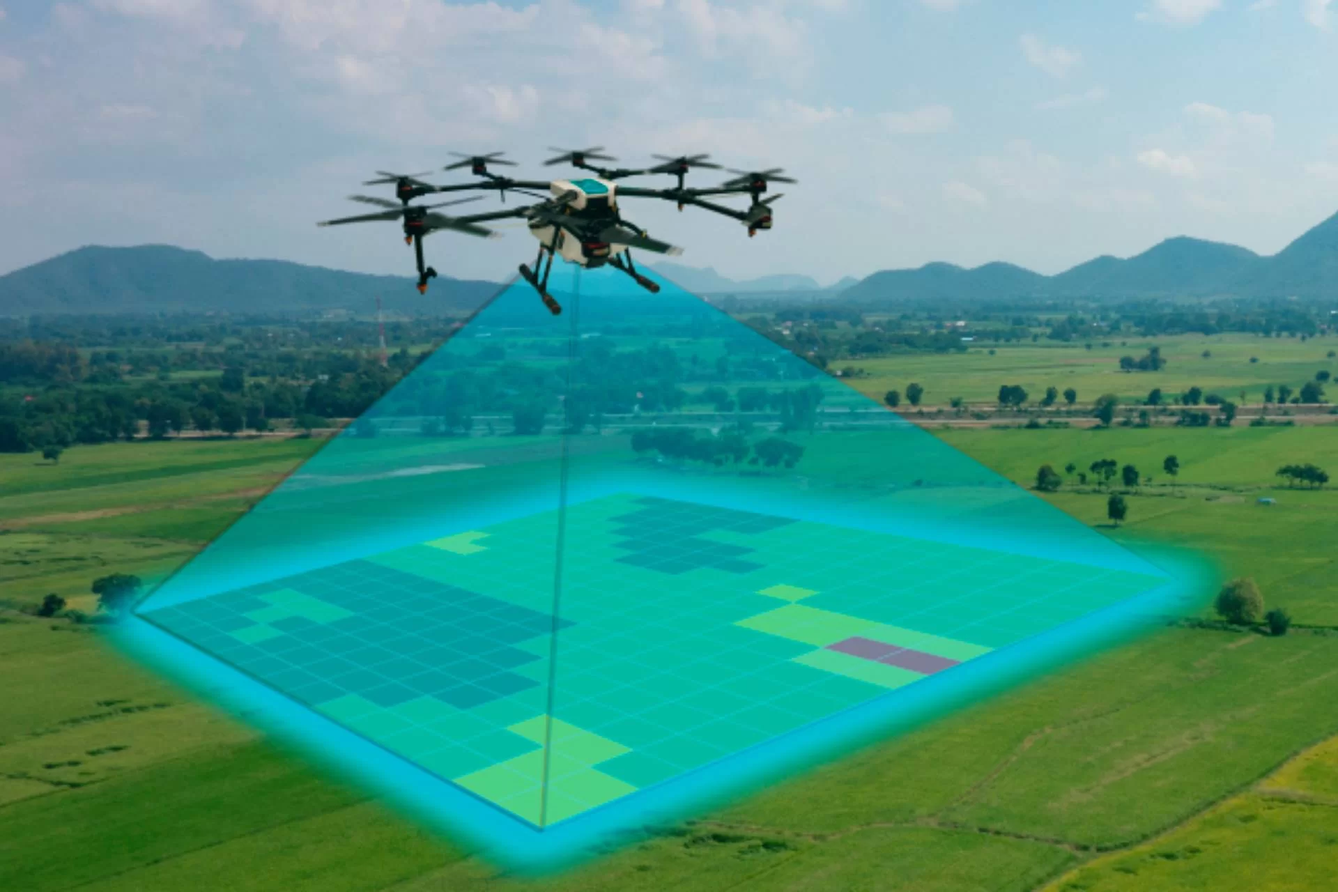 Drone Survey